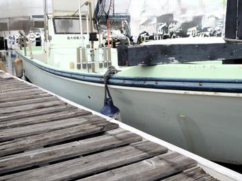 thumb_090500-yanmar-zd21c