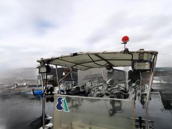 thumb_090500-yanmar-zd21c