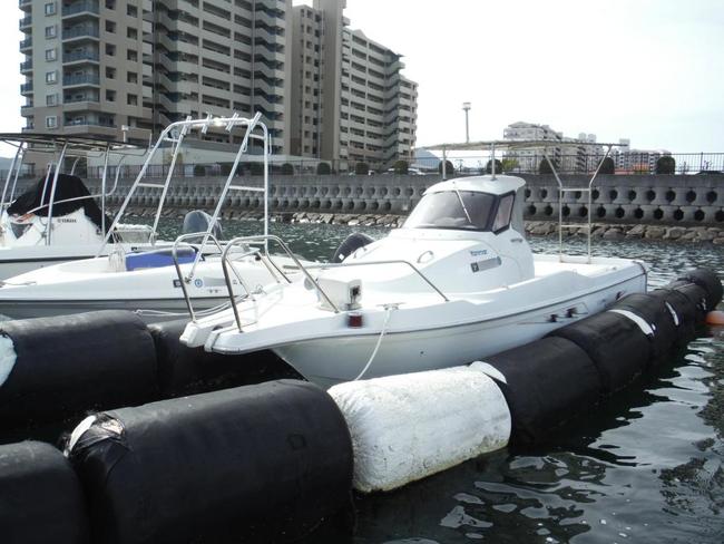 medium_090527-yanmar-ef21z