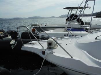 thumb_090527-yanmar-ef21z
