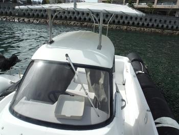 thumb_090527-yanmar-ef21z