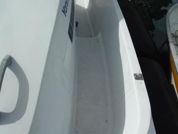 thumb_090527-yanmar-ef21z