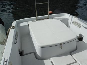 thumb_090527-yanmar-ef21z