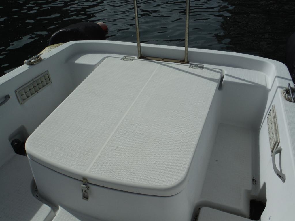 banner_090527-yanmar-ef21z