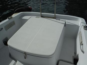 thumb_090527-yanmar-ef21z
