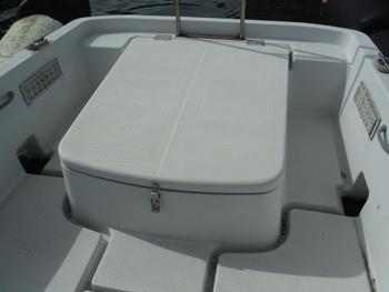 thumb_090527-yanmar-ef21z