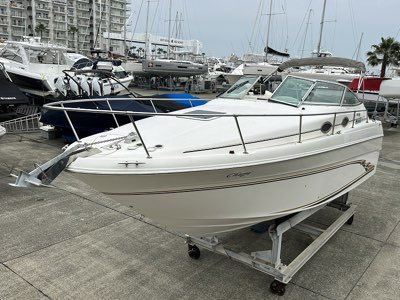 banner_090533-sea-ray-270-amberjack