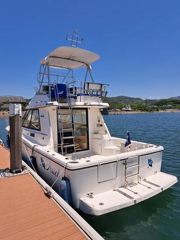 thumb_090534-yamaha-sf-35