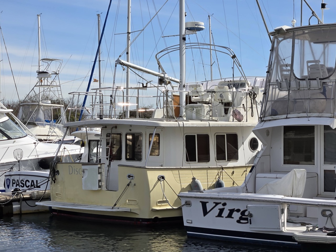 banner_090447-jet-tern-marine-solo-43