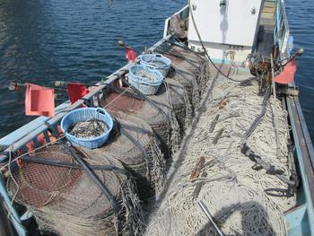 thumb_090669-daiichi-shipyard-fishing-vessel