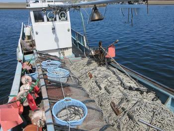 thumb_090669-daiichi-shipyard-fishing-vessel
