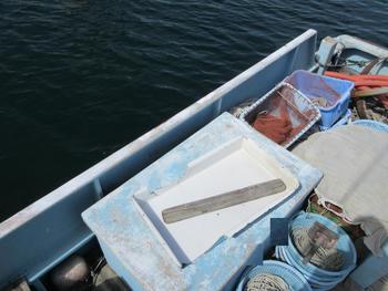 thumb_090669-daiichi-shipyard-fishing-vessel