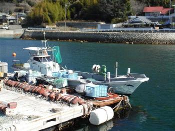 thumb_090849-yanmar-zd34