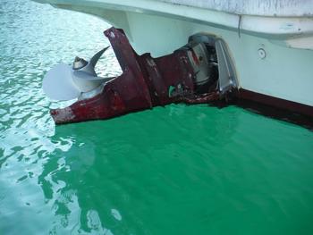 thumb_090849-yanmar-zd34