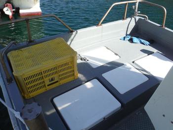 thumb_090849-yanmar-zd34