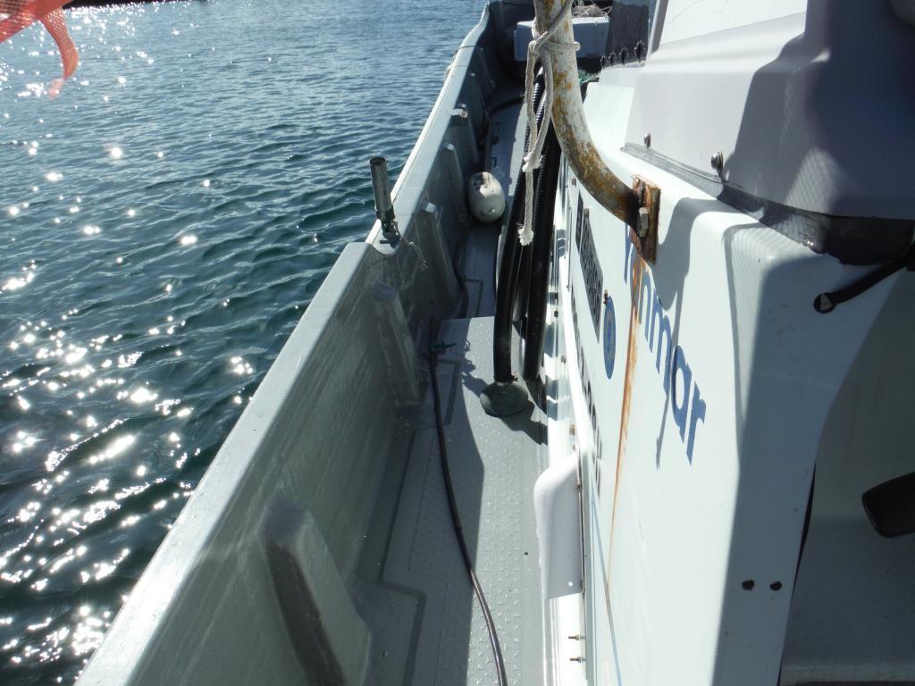 banner_090849-yanmar-zd34