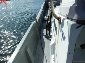 thumb_090849-yanmar-zd34