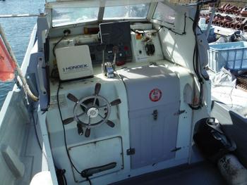 thumb_090849-yanmar-zd34