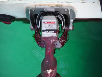 thumb_090849-yanmar-zd34