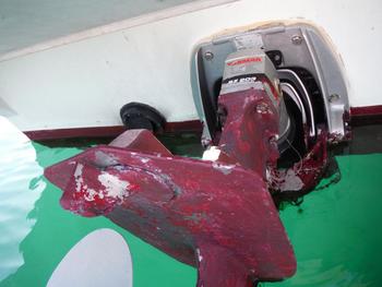 thumb_090849-yanmar-zd34