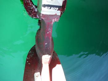 thumb_090849-yanmar-zd34