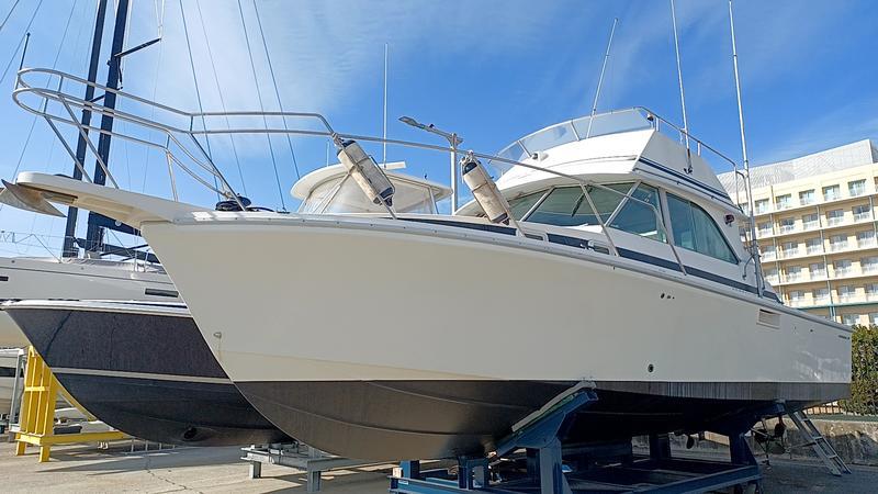 banner_090866-caribbean-bertram-35-fs
