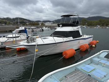 thumb_090943-yamaha-fc-31