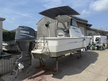 thumb_091032-yamaha-fw-21