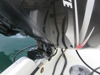 thumb_091294-suzuki-ff230