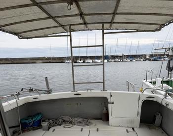 thumb_091508-yanmar-fm33