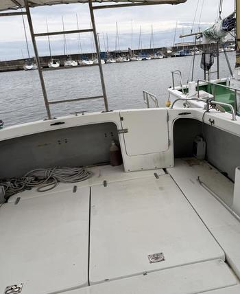 thumb_091508-yanmar-fm33