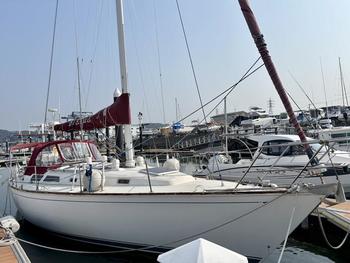 thumb_091531-sabre-38