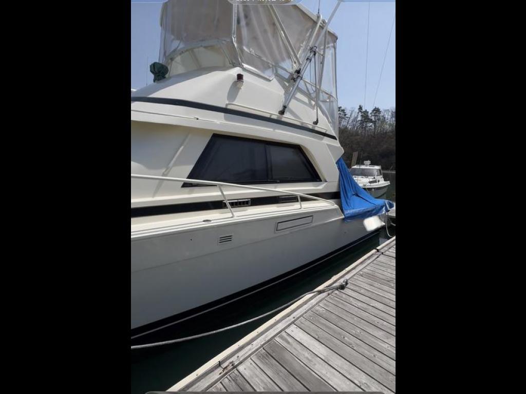 banner_091711-bertram-37-convertible