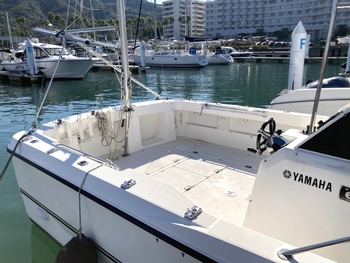 thumb_091753-yamaha-dfr-33