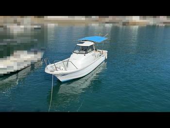 thumb_091772-yanmar-de26hz