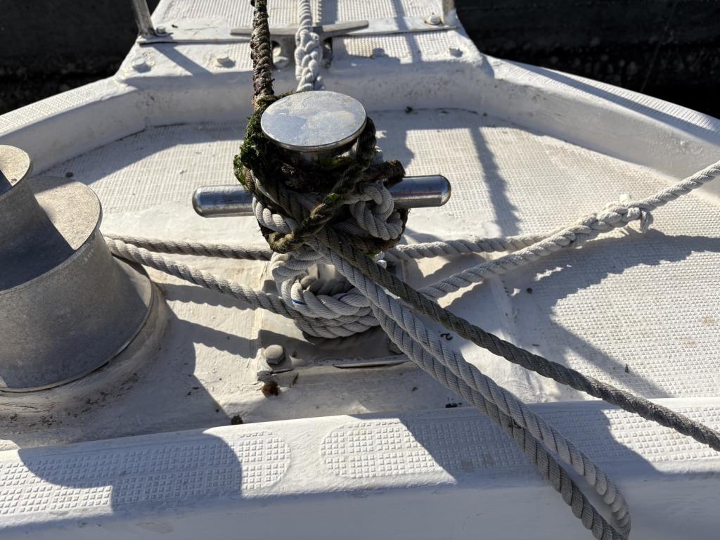 banner_091782-yanmar-fx21