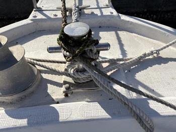 thumb_091782-yanmar-fx21