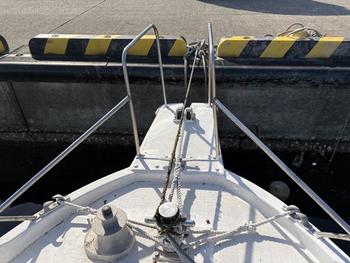 thumb_091782-yanmar-fx21