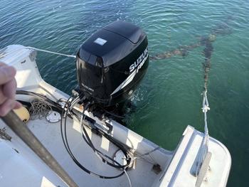 thumb_091782-yanmar-fx21