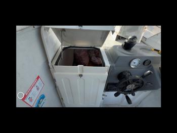 thumb_091782-yanmar-fx21