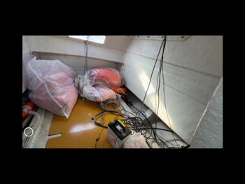 thumb_091782-yanmar-fx21