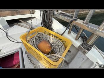 thumb_091789-yanmar-de26dz