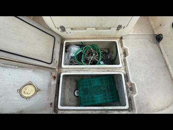 thumb_091790-nissan-wing-fisher-23