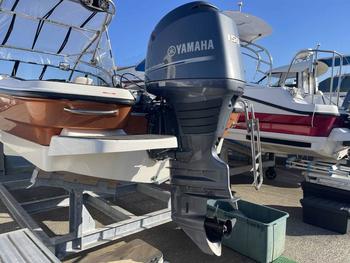 thumb_091795-yamaha-ag-21br