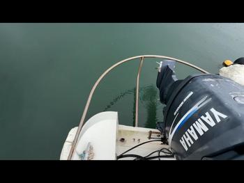 thumb_091801-yamaha-fw-23