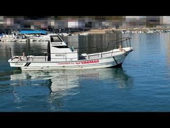thumb_091806-yanmar-de25b