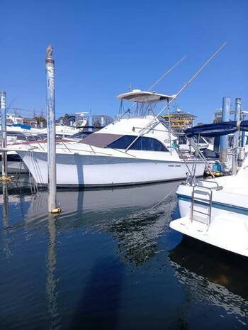 thumb_091855-ocean-yachts-32-super-sport