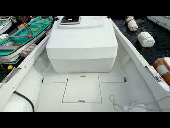 thumb_091871-yanmar-ex32z