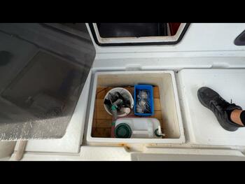 thumb_091871-yanmar-ex32z