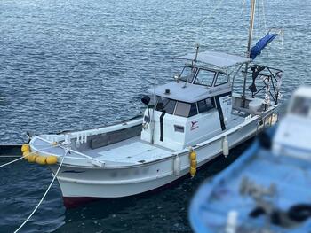 thumb_091880-yanmar-da-26bf